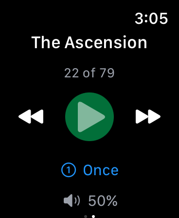 Watch Audio Controls